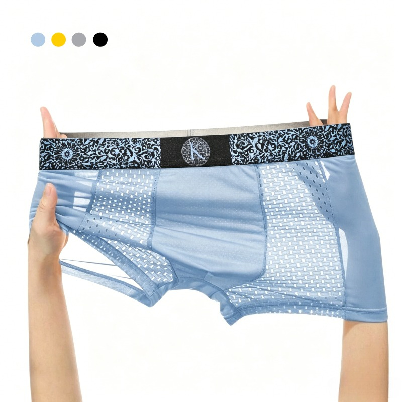 Herenshorts van koele ijzijde, - Mesh Sport Boxer recensie en prijs