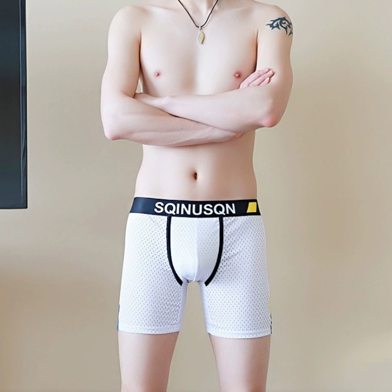 Heren Ice Silk Mesh Boxer Shor - Mesh Sport Boxer recensie en prijs